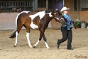 23-APHA SS_014